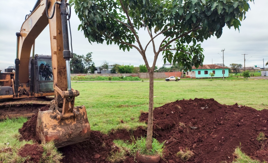 REMANEJAMENTO DE ÁRVORES PARA A CONSTRUÇÃO DA NOVA PRAÇA ESPORTIVA